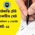 প্রাইমারি টেট শিশুবিকাশ ও পেডাগজি প্র্যাকটিস সেট- ১১