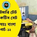 প্রাইমারি টেট বাংলা প্র্যাকটিস সেট- ১২