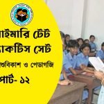 প্রাইমারি টেট শিশুবিকাশ ও পেডাগজি প্র্যাকটিস সেট- ১২