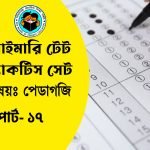 প্রাইমারি টেট শিশুবিকাশ ও পেডাগজি প্র্যাকটিস সেট- ১৭