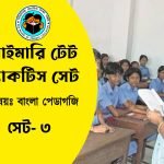 Primary TET Bangla Pedagogy Practice Set- 3