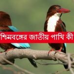 পশ্চিমবঙ্গের জাতীয় পাখি