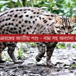 পশ্চিমবঙ্গের জাতীয় পশু