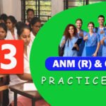 ANM GNM Practice Set 2024