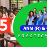 ANM GNM Practice Set 2024