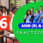 ANM GNM Practice Set 2024