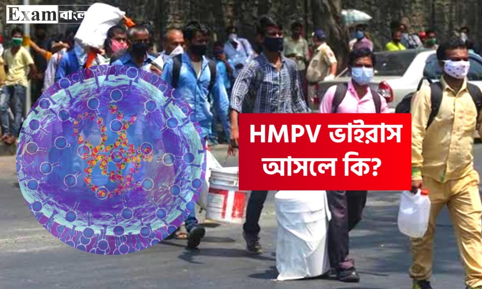 HMPV ভাইরাস