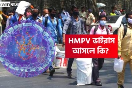 HMPV ভাইরাস